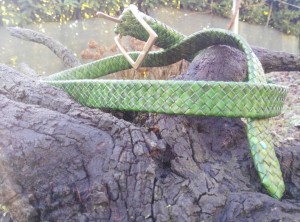 braided plaited kangaroo hide belt - cintura intrecciata pelle canguro  (7)