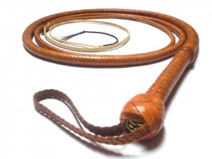 Indiana jones whip style (1)